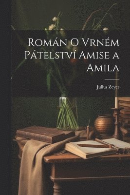 Romn o vrnm ptelstv Amise a Amila 1