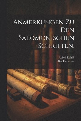 bokomslag Anmerkungen zu den salomonischen Schriften.