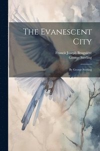 bokomslag The Evanescent City