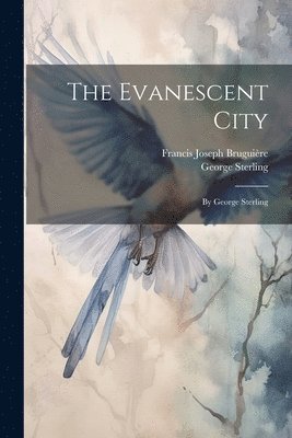 The Evanescent City 1