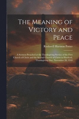 bokomslag Meaning of Victory and Peace