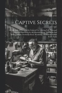 bokomslag Captive Secrets