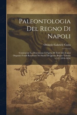 bokomslag Paleontologia del regno di Napoli