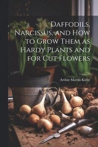 bokomslag Daffodils, Narcissus, and how to Grow Them as Hardy Plants and for cut Flowers