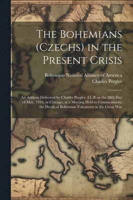 bokomslag The Bohemians (Czechs) in the Present Crisis