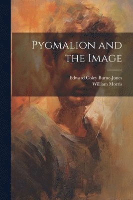 bokomslag Pygmalion and the Image