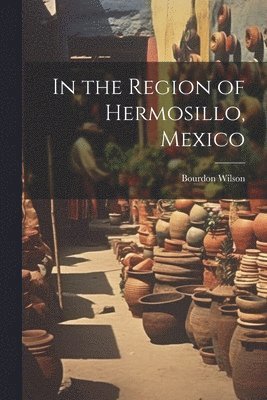 Bourdon Wilson - In the Region of Hermosillo, Mexico, Häftad