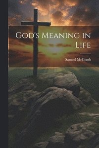 bokomslag God's Meaning in Life