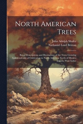 Nathaniel Lord Britton, John Adolph Shafer - North American Trees, Häftad