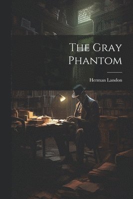 bokomslag Gray Phantom