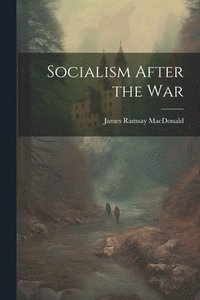 bokomslag Socialism After the War
