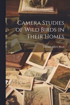 bokomslag Camera Studies of Wild Birds in Their Homes