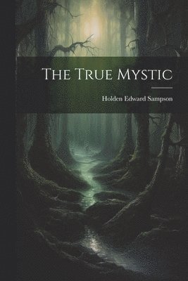 bokomslag True Mystic