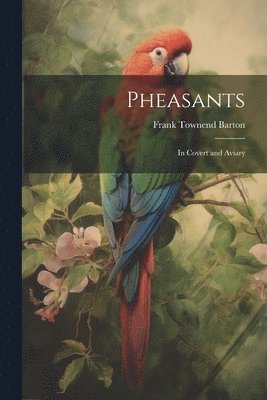 Pheasants 1