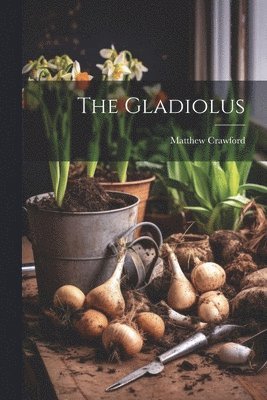 The Gladiolus 1