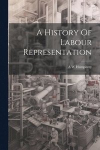 bokomslag A History Of Labour Representation