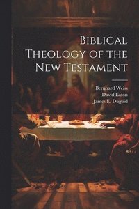 bokomslag Biblical Theology of the New Testament