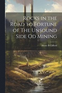 bokomslag Rocks in the Road to Fortune of The Unsound Side od Mining