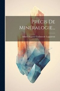 bokomslag Précis De Minéralogie...