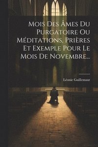 bokomslag Mois Des mes Du Purgatoire Ou Mditations, Prires Et Exemple Pour Le Mois De Novembre...