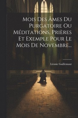 Léonie Guillemaut - Mois Des Âmes Du Purgatoire Ou Méditations, Prières Et Exemple Pour Le Mois De Novembre..., Häftad