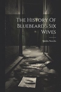 bokomslag The History Of Bluebeard's Six Wives