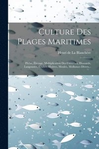 bokomslag Culture Des Plages Maritimes