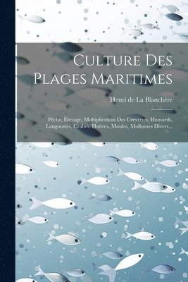 bokomslag Culture Des Plages Maritimes