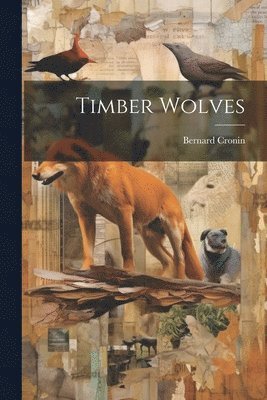 Timber Wolves 1