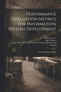 bokomslag Performance Evaluation Metrics for Information Systems Development