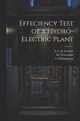 Effeciency Test of a Hydro-electric Plant 1