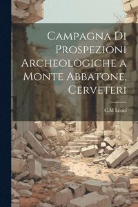 bokomslag Campagna di prospezioni archeologiche a Monte Abbatone, Cerveteri