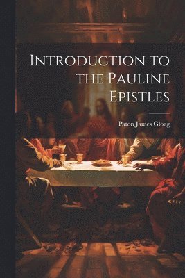 bokomslag Introduction to the Pauline Epistles