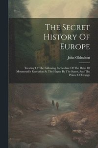 bokomslag The Secret History Of Europe