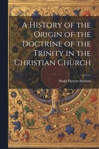 bokomslag A History of the Origin of the Doctrine of the Trinity in the Christian Church