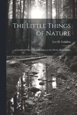 Little Things of Nature
