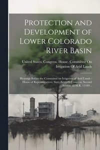 bokomslag Protection and Development of Lower Colorado River Basin