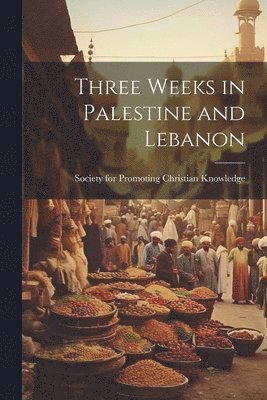 Three Weeks in Palestine and Lebanon 1