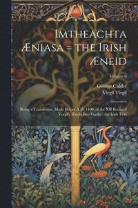 bokomslag Imtheachta Æniasa = the Irish Æneid