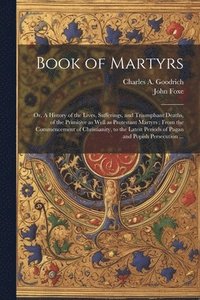 bokomslag Book of Martyrs