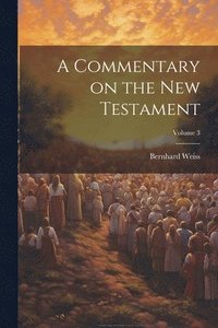 bokomslag A Commentary on the New Testament; Volume 3