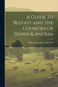 bokomslag A Guide to Belfast and the Counties of Down & Antrim