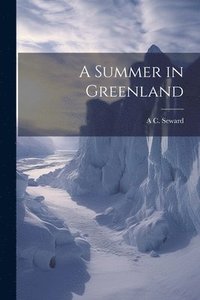 bokomslag A Summer in Greenland