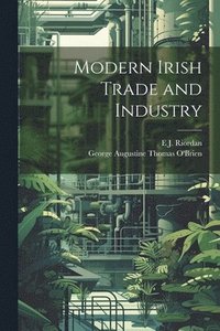 bokomslag Modern Irish Trade and Industry