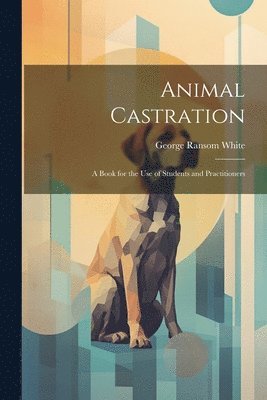 bokomslag Animal Castration