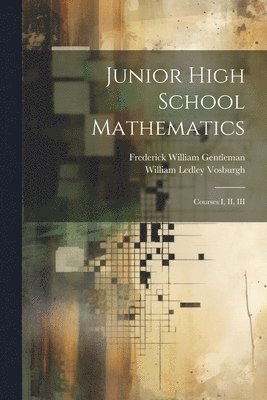 Junior High School Mathematics 1