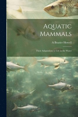 bokomslag Aquatic Mammals; Their Adaptations to Life in the Water