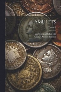 bokomslag Amulets; Volume 1