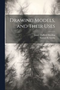 bokomslag Drawing Models, and Their Uses
