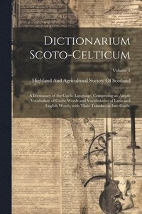bokomslag Dictionarium Scoto-Celticum